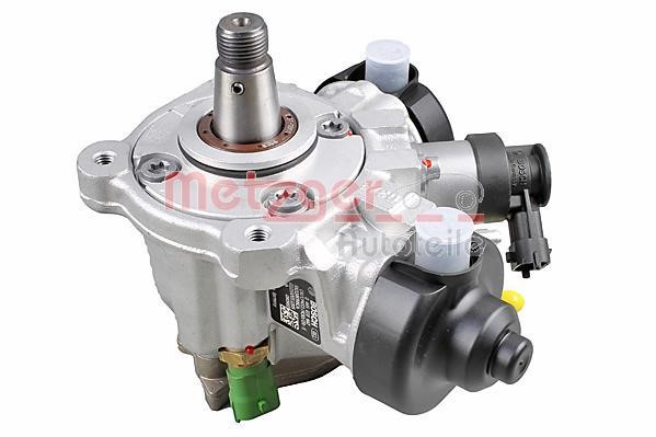 Metzger 0830124 Injection Pump 0830124: Buy near me in Poland at 2407.PL - Good price!