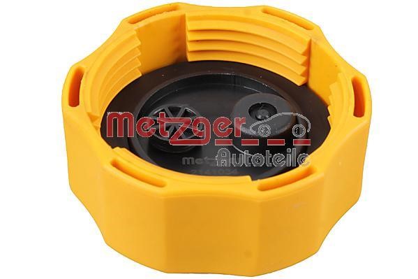 Buy Metzger 2141034 at a low price in Poland!