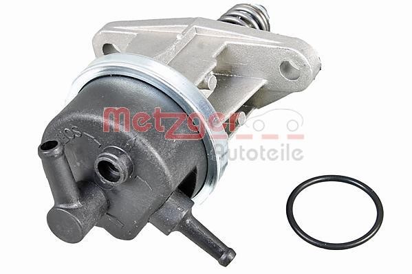 Metzger 2250485 Fuel pump 2250485: Buy near me in Poland at 2407.PL - Good price!