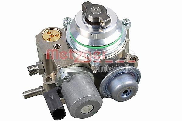 Metzger 2250425 Injection Pump 2250425: Buy near me in Poland at 2407.PL - Good price!