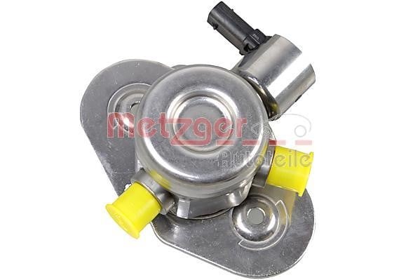 Metzger 2250437 Injection Pump 2250437: Buy near me in Poland at 2407.PL - Good price!