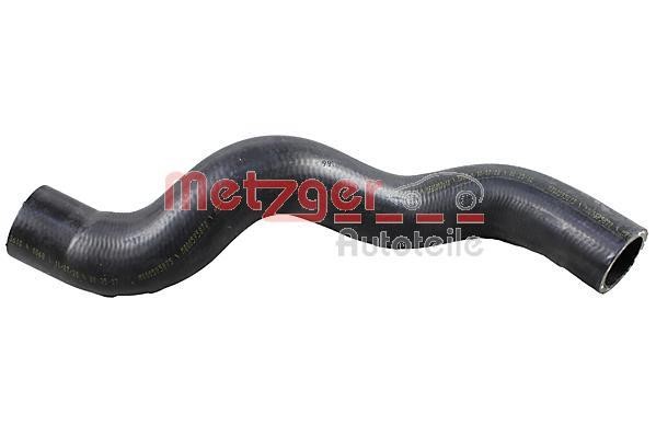 Metzger 2420973 Radiator hose 2420973: Buy near me in Poland at 2407.PL - Good price!