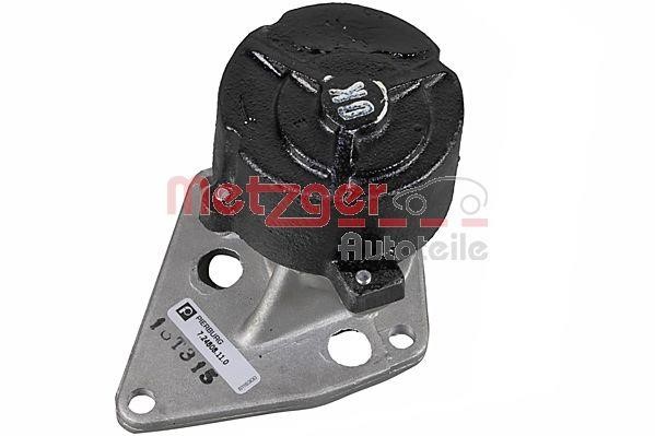 Metzger 8010056 Vacuum Pump, braking system 8010056: Buy near me in Poland at 2407.PL - Good price!