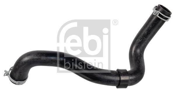 febi 170959 Radiator hose 170959: Buy near me at 2407.PL in Poland at an Affordable price!