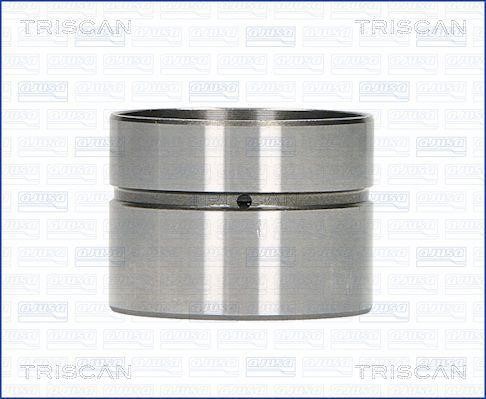 Triscan 80-27001 Гидрокомпенсатор 8027001: Отличная цена - Купить в Польше на 2407.PL!