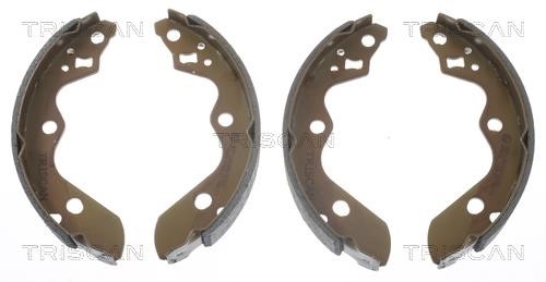 Triscan 8100 69010 Brake shoe set 810069010: Buy near me at 2407.PL in Poland at an Affordable price!