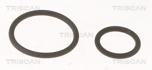 Triscan 596-1001 Fuel injector gasket 5961001: Buy near me at 2407.PL in Poland at an Affordable price!