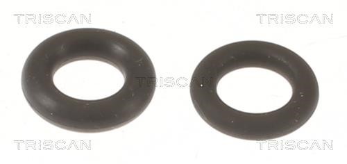 Triscan 596-1004 Fuel injector gasket 5961004: Buy near me in Poland at 2407.PL - Good price!
