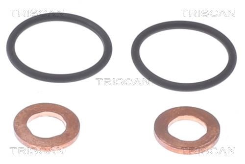 Triscan 596-1005 Fuel injector gasket 5961005: Buy near me in Poland at 2407.PL - Good price!