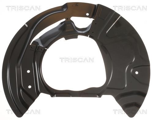 Triscan 8125 11118 Защита тормозного диска 812511118: Купить в Польше - Отличная цена на 2407.PL!