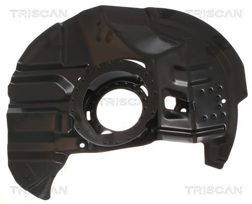 Triscan 8125 11125 Защита тормозного диска 812511125: Отличная цена - Купить в Польше на 2407.PL!