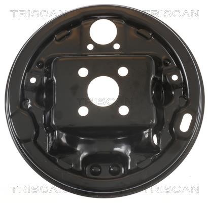 Triscan 8125 25201 Brake dust shield 812525201: Buy near me in Poland at 2407.PL - Good price!