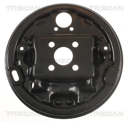 Triscan 8125 25202 Brake dust shield 812525202: Buy near me in Poland at 2407.PL - Good price!