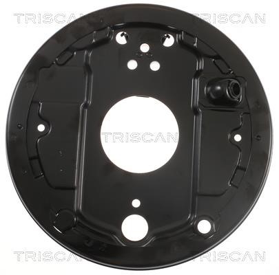 Triscan 8125 29271 Защита тормозного диска 812529271: Отличная цена - Купить в Польше на 2407.PL!