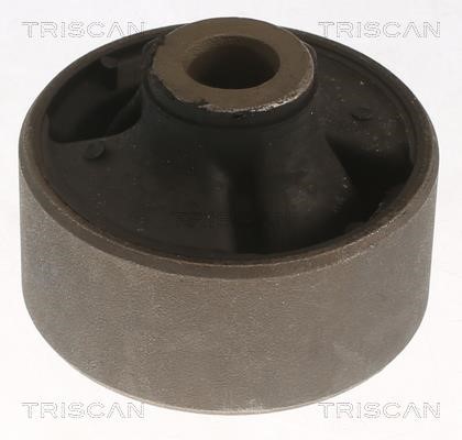 Triscan 8500 13876 Control Arm-/Trailing Arm Bush 850013876: Buy near me in Poland at 2407.PL - Good price!