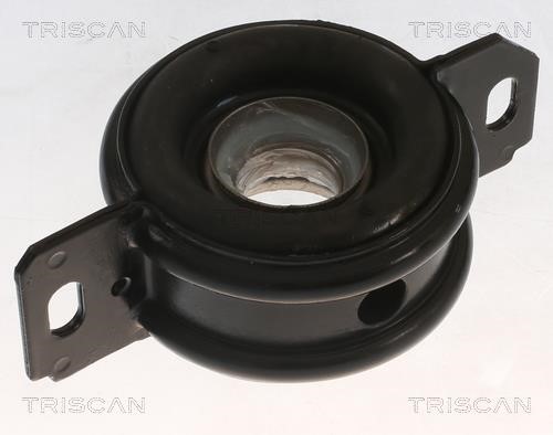Triscan 8540 13301 Підшипник підвісний валу карданного 854013301: Приваблива ціна - Купити у Польщі на 2407.PL!