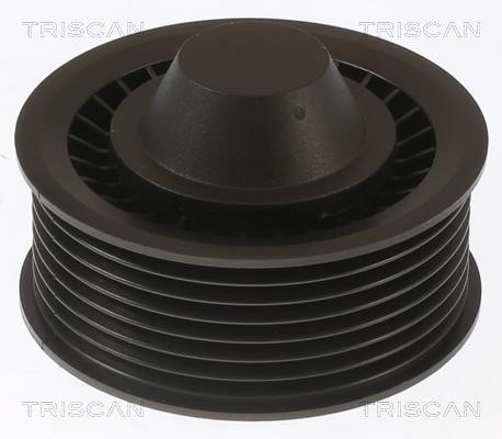Triscan 8641 252024 Idler Pulley 8641252024: Buy near me in Poland at 2407.PL - Good price!