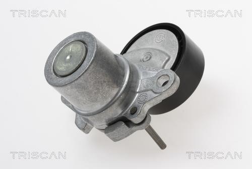 Triscan 8641 293055 Belt tightener 8641293055: Buy near me at 2407.PL in Poland at an Affordable price!