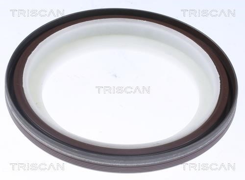 Triscan 8550 10085 Crankshaft oil seal 855010085: Buy near me in Poland at 2407.PL - Good price!