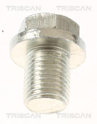 Triscan 9500 4301 Sump plug 95004301: Buy near me in Poland at 2407.PL - Good price!