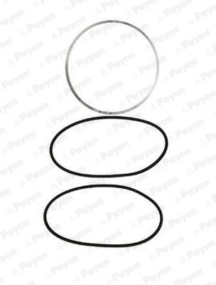 Payen HL5077 O-rings for cylinder liners, kit HL5077: Buy near me in Poland at 2407.PL - Good price!