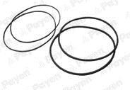 Payen HL5378 O-rings for cylinder liners, kit HL5378: Buy near me in Poland at 2407.PL - Good price!