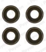 Payen HR339 Valve oil seals, kit HR339: Buy near me at 2407.PL in Poland at an Affordable price!