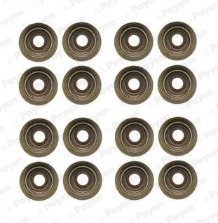 Payen HR5046 Valve oil seals, kit HR5046: Buy near me at 2407.PL in Poland at an Affordable price!