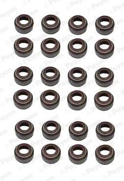 Payen HR5055 Valve oil seals, kit HR5055: Buy near me at 2407.PL in Poland at an Affordable price!