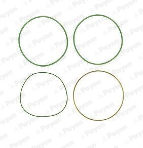 Payen HT018 O-rings for cylinder liners, kit HT018: Buy near me in Poland at 2407.PL - Good price!