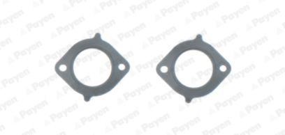 Payen JD6144 Exhaust manifold dichtung JD6144: Buy near me in Poland at 2407.PL - Good price!