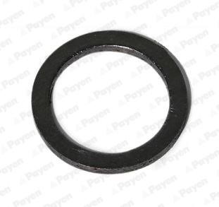 Payen JE015 Exhaust pipe gasket JE015: Buy near me at 2407.PL in Poland at an Affordable price!