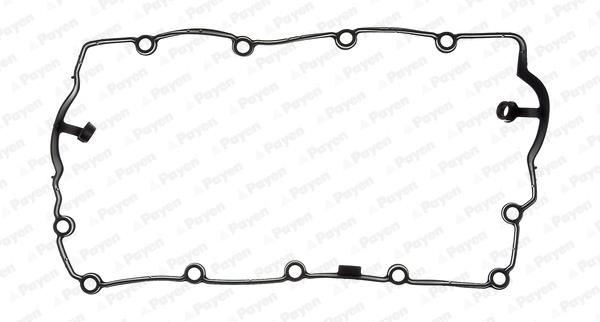 Payen JM7113 Gasket, cylinder head cover JM7113: Buy near me in Poland at 2407.PL - Good price!