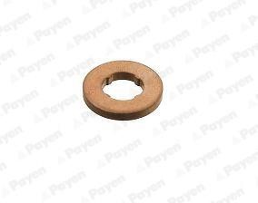 Payen KG5347 Nozzle ring KG5347: Buy near me in Poland at 2407.PL - Good price!