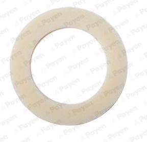 Payen KG5366 Seal Oil Drain Plug KG5366: Buy near me at 2407.PL in Poland at an Affordable price!