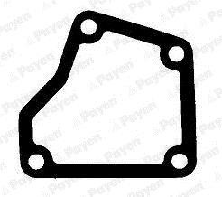 Payen KK5736 Uszczelka termostatu KK5736: Dobra cena w Polsce na 2407.PL - Kup Teraz!