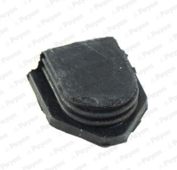 Payen LV943 Camshaft plug LV943: Buy near me at 2407.PL in Poland at an Affordable price!