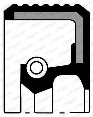 Payen NA5490 Shaft Seal, differential NA5490: Buy near me in Poland at 2407.PL - Good price!