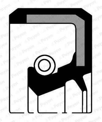 Payen NB586 Oil seal crankshaft front NB586: Buy near me at 2407.PL in Poland at an Affordable price!