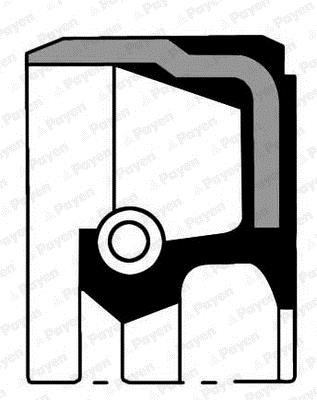 Payen NB814 Crankshaft oil seal NB814: Buy near me in Poland at 2407.PL - Good price!