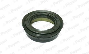 Payen NJ689 Oil seal NJ689: Buy near me at 2407.PL in Poland at an Affordable price!
