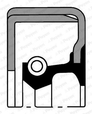 Payen NK139 Seal-oil,crankshaft rear NK139: Buy near me in Poland at 2407.PL - Good price!