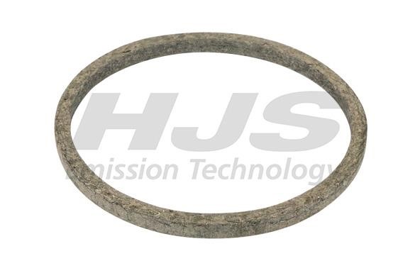 HJS Leistritz 83 12 2061 O-ring exhaust system 83122061: Buy near me at 2407.PL in Poland at an Affordable price!