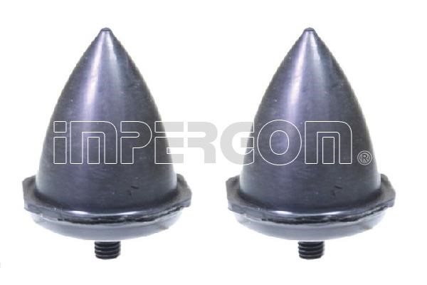 Impergom 51249 Dustproof kit for 2 shock absorbers 51249: Buy near me in Poland at 2407.PL - Good price!