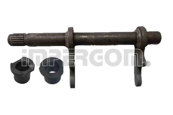Impergom 41233 clutch fork 41233: Buy near me in Poland at 2407.PL - Good price!