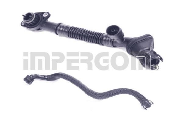 Impergom 4867 Repair Set, crankcase breather 4867: Buy near me in Poland at 2407.PL - Good price!