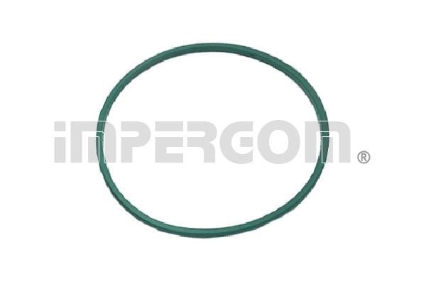 Impergom 25200 Fuel pump gasket 25200: Buy near me in Poland at 2407.PL - Good price!