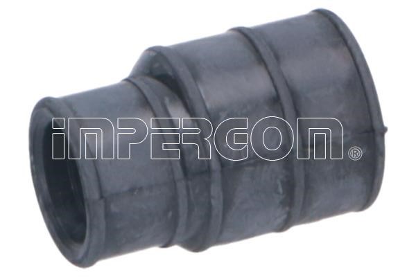 Impergom 229018 Breather Hose for crankcase 229018: Buy near me in Poland at 2407.PL - Good price!