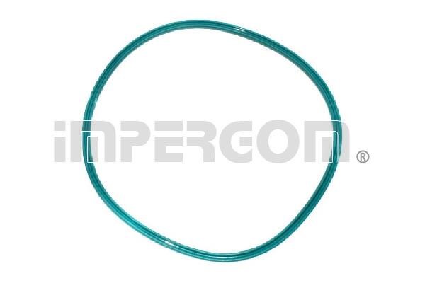 Impergom 25204 Fuel pump gasket 25204: Buy near me at 2407.PL in Poland at an Affordable price!