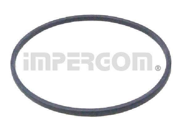 Impergom 25207 Fuel pump gasket 25207: Buy near me in Poland at 2407.PL - Good price!